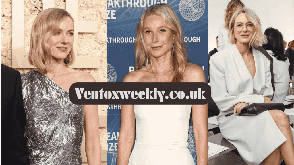 Marki Shkreli: The Rise, Craft, and Influence of a Modern Celebrity Hair Stylist marki shkreli