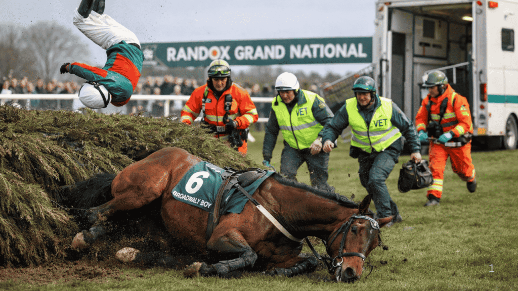 broadway boy horse dead