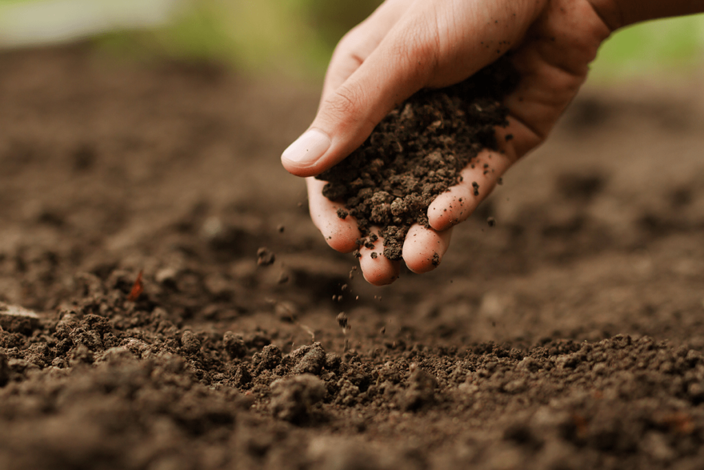 Best Practices for Managing Land Development Challenges